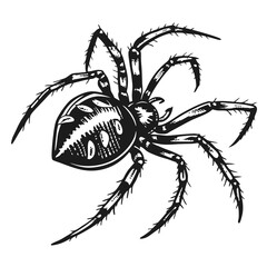 Spider Black silhouette