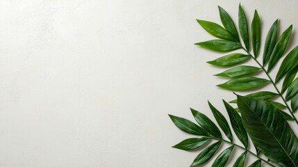 Fototapeta premium Fresh Green Leaves on Neutral Background for Natural Display