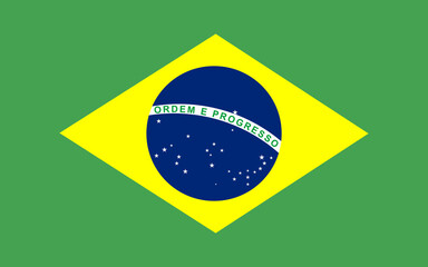 The flag of Brazil. Flag icon. Standard color.