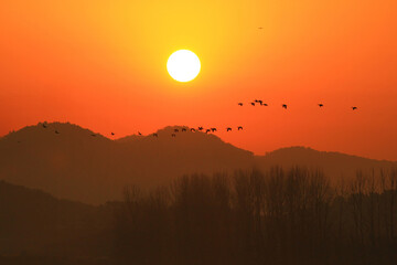 Tranquil Moments of Nature: Birds, Sunsets, and Serene Landscapes. Winter Morning Landscape of Junam Reservoir in Changwon, South Gyeongsang Province, South Korea