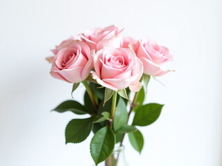A Bouquet Of Delicate Pink Roses Stands Alone Against A Crisp White Background In A Simple Yet Elegant Arrangement. 00002