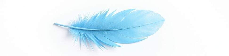 Single, soft blue feather floats against pure white background, light blue, fluffy