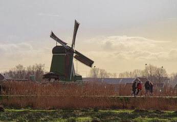 Fototapeta premium the windmills of the netherlands