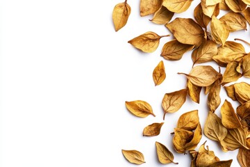 Dried oregano leaves on a white background used as a pizza spice