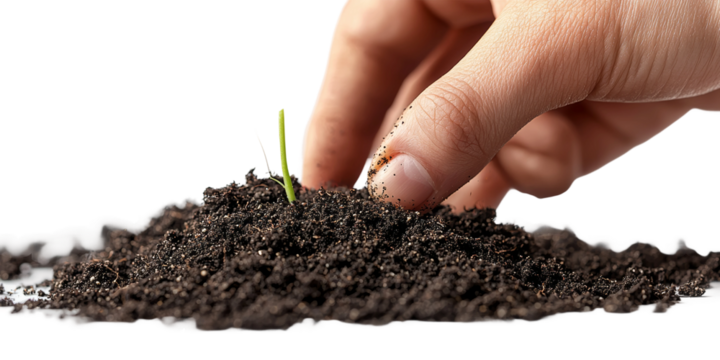 Hand Planting Seedling in Rich Soil Isolated on transparent background