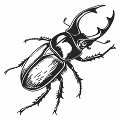 Beetle Black silhouette