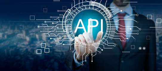 api interface programming interface.