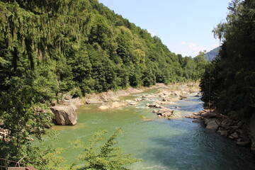 Forest river among the mountains