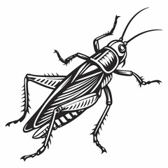 Grasshopper Black silhouette