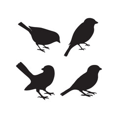 sparrow vector illustration style flat black silhouette, silhouette of sparrow or titmouse in different poses, black and white, sparrow icon or logo illustration