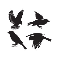 Obraz premium sparrow vector illustration style flat black silhouette, silhouette of sparrow or titmouse in different poses, black and white, sparrow icon or logo illustration