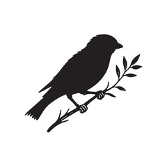 Fototapeta premium sparrow vector illustration style flat black silhouette, silhouette of sparrow or titmouse in different poses, black and white, sparrow icon or logo illustration