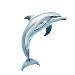 Fototapeta premium Realistic Dolphin Swimming in Clear Blue Ocean Waters with Gentle Light Reflections and Vibrant Underwater Scene