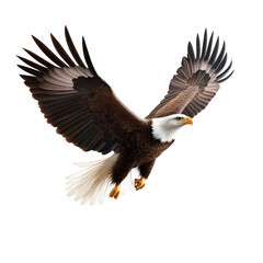 Obraz premium Majestic Bald Eagle in Flight Over Scenic Background with Dynamic Wings Spread and Sharp Talons Ready for Action
