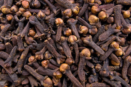 Full Frame View of Aromatic Cloves in Rich Brown Tones
