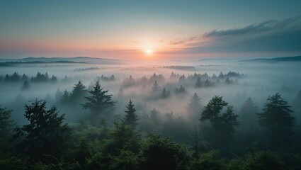 Sunrise over Misty Forest: A breathtaking aerial view captures the sun rising majestically over a dense forest shrouded in mist, creating a serene and mystical atmosphere.
