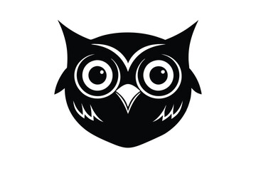 owl on white background