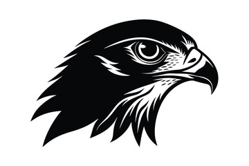 eagle head isolated on white