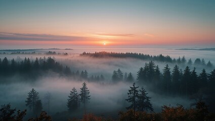 Obraz premium Misty Sunrise in the Pine Forest 