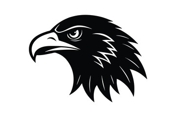 head of a eagle