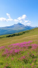 Fototapeta premium Scenic View of Balkan Mountains with Pink Wildflowers in Bloom Under a Clear Summer Sky