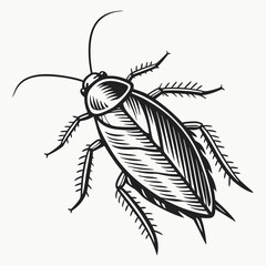 Cockroach Black silhouette