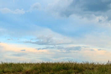 Fototapeta premium A field of grass with a cloudy sky in the background