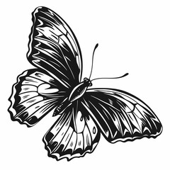 Butterfly Black silhouette