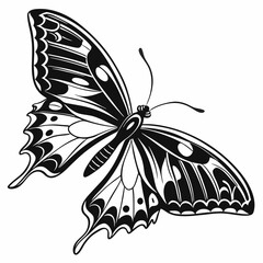 Butterfly Black silhouette
