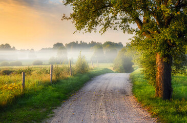 beautiful misty morning over the countryside road