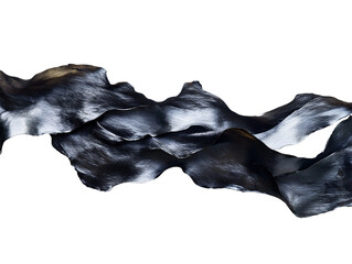 Sheet of dried seaweed available PNG on white background.