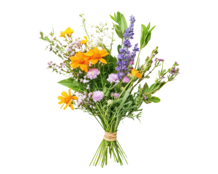 Bright bouquet of wildflowers on a white isolated background.