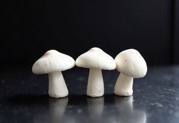 Three white mushrooms on black surface