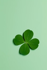 four leaf clover,Saint Patrick's Day 