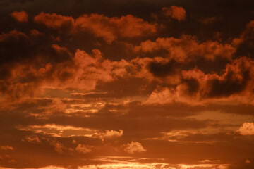 Fototapeta premium sunset in the sky