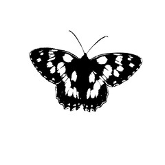 black butterfly isolated on vector art design