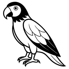 Parrot vector silhouette on white background
