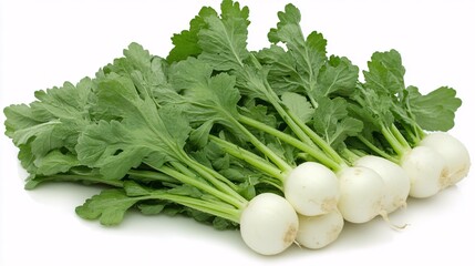 Fresh white radishes with green leaves arranged in a cluster on a white background