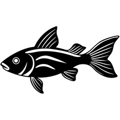 Molly Fish vector silhouette on white background