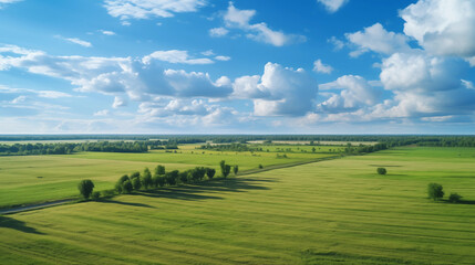 Aerial View of a Peaceful and Serene Field Under the Glowing Sun