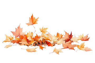 Autumn Maple Leaves Falling on Soft White Background