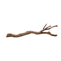 Rustic Driftwood Branch: A weathered, gnarled branch with a natural, earthy tone, perfect for rustic decor, floral arrangements, or crafting projects.  