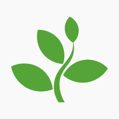 Green plant leaf icon isolated on white background. Vector illustration.