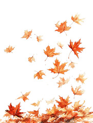 Obraz premium Autumn Maple Leaves Falling on Soft White Background