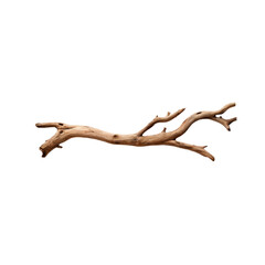 Fototapeta premium Driftwood Branch: Natural, Rustic Decor Element 