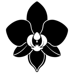 orchid silhouette vector illustrator