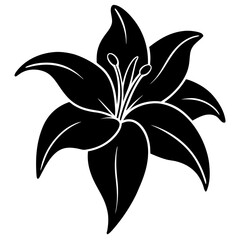 lily silhouette vector illustrator