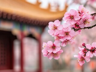 Delicate Pink Peach Blossoms Against a Serene Background
