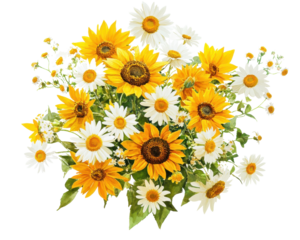 Colorful bouquet of sunflowers and daisies against a white background