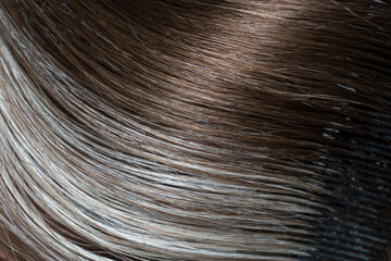 The beauty of aging changes: The macro shot captures the contrast between dark brown hair and textured platinum-gray strands, reflecting the natural process of pigment change.